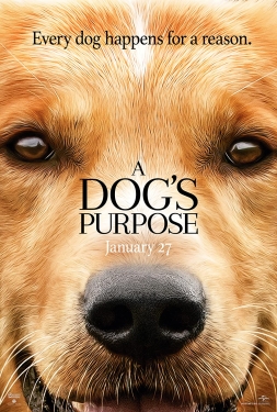 ดูหนัง A Dog s Purpose (2017) หมา เป้าหมาย และเด็กชายของผม